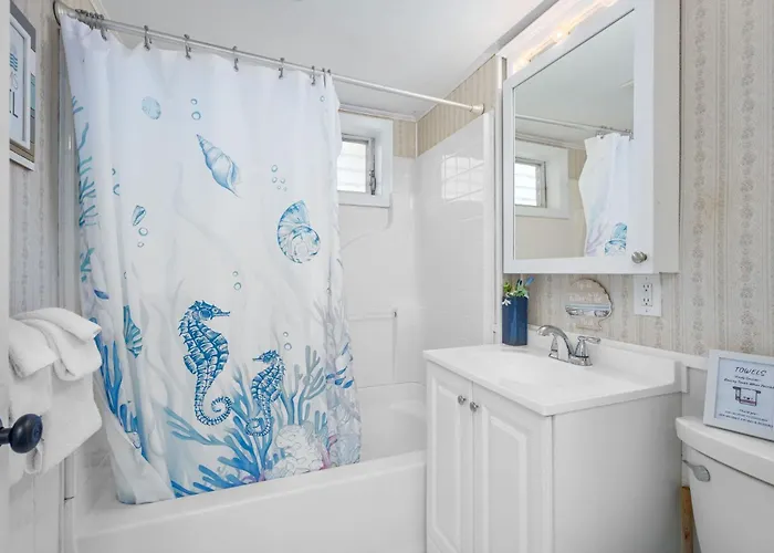 The Seashell - Your Shoreline Sanctuary