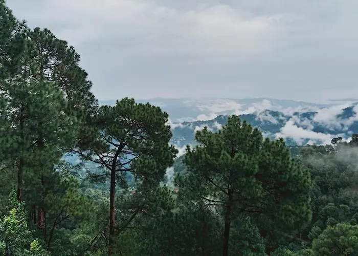 Kasauli Homestay ! By Evening Sky