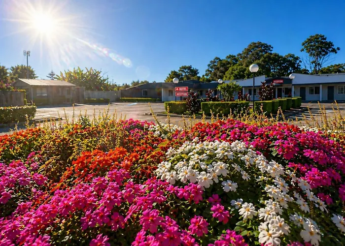 Jolly Knight Motel