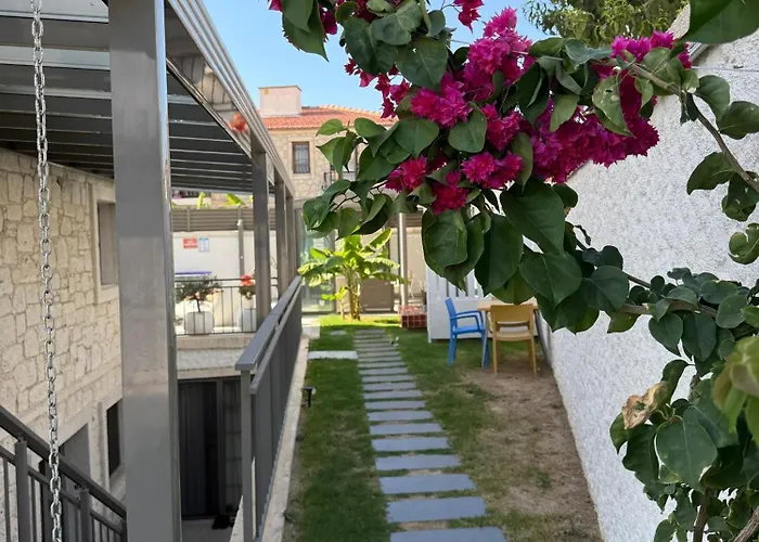Olea Alacati