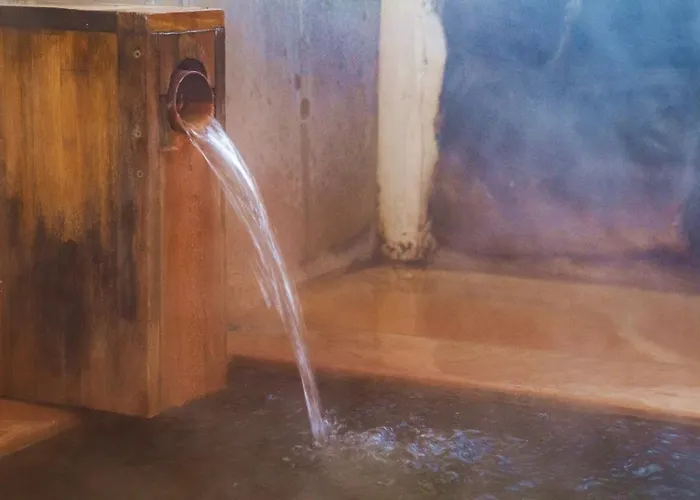 Seki Onsen Yoshinoya Ryokan