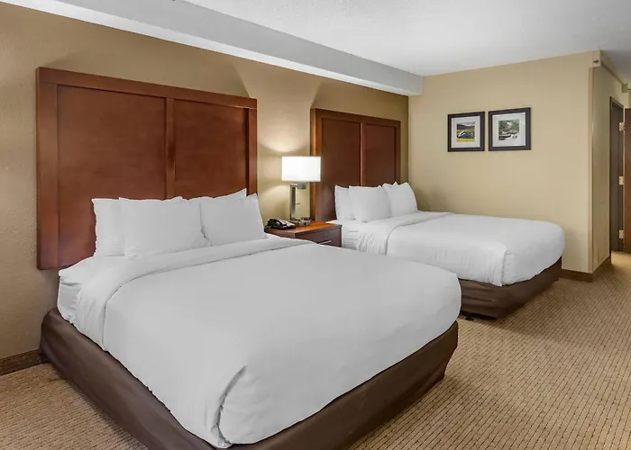 Comfort Inn & Suites Near Danville Mall