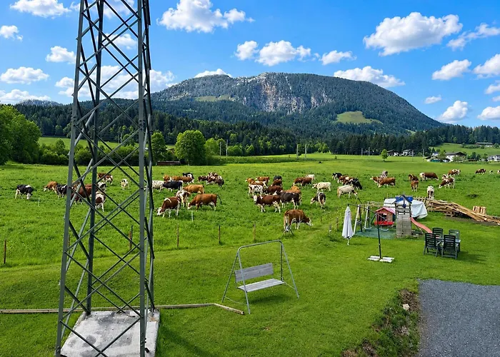Panorama Chalet Fieberbrunn