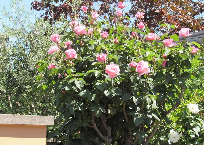 Casa Angolo Delle Rose