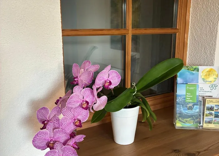 Garten Apartment Diwoky