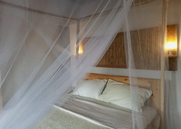 Little Monkey Camp