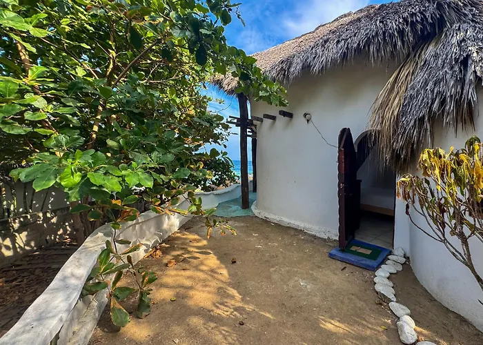 Shambhala Vision