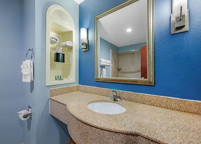 Best Western South Plains Inn & Suites