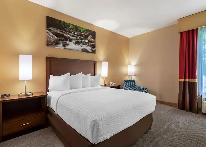 Clarion Pointe Cherokee