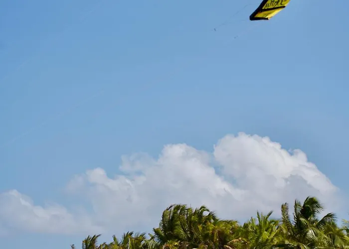 Indiana Kite School And Hostel