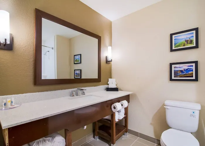 Comfort Inn & Suites Rock Hill Northeast