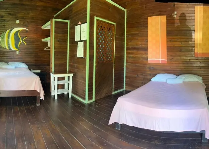 Loto'S House
