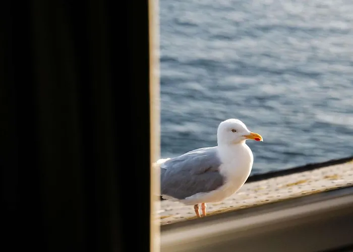 Hotel Mercure Roscoff Bord De Mer