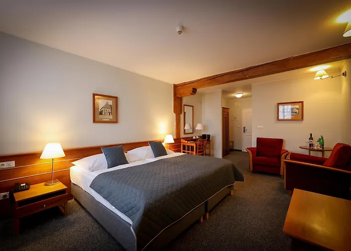 Lh Hotel Dvorak Tabor Congress & Wellness