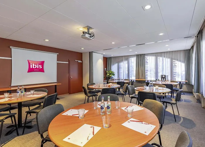 Ibis Sion