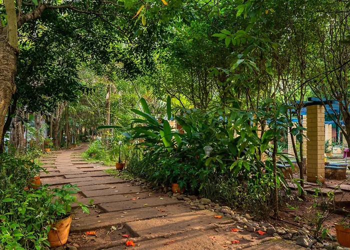 Dandeli Serene Jungle Resort