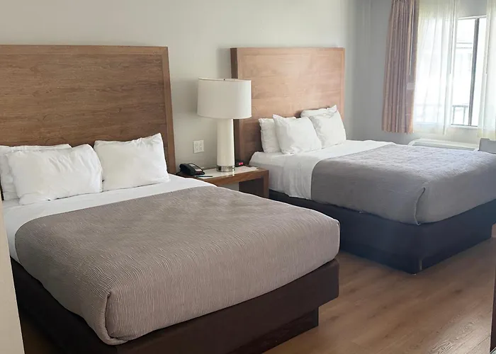 Quality Inn & Suites By The Parks
