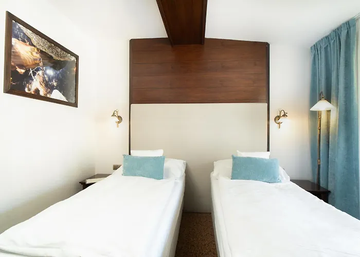 Aplend Wellness Hotel Borovica