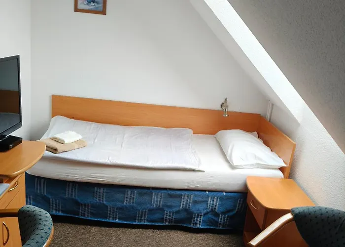 Hotel Margo