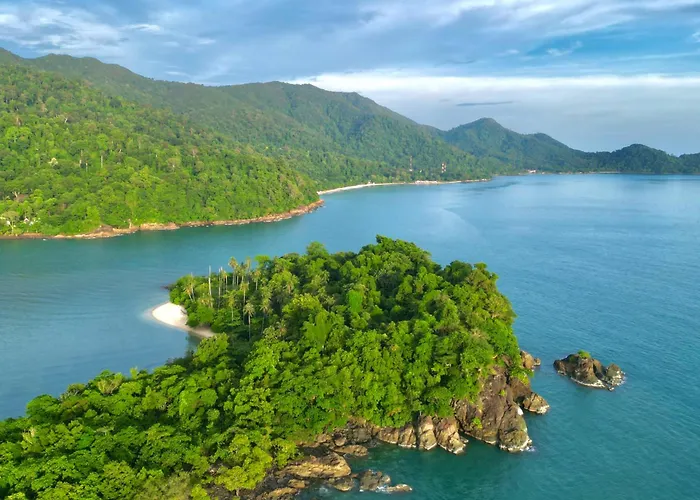 Beach Jungle