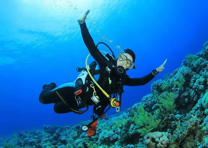 West End Dive Resort