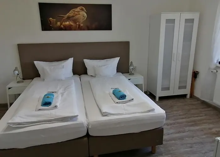 HOTEL SPATZENNEST Vogelsberg
