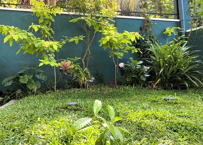 Misty Elegance - Ella.