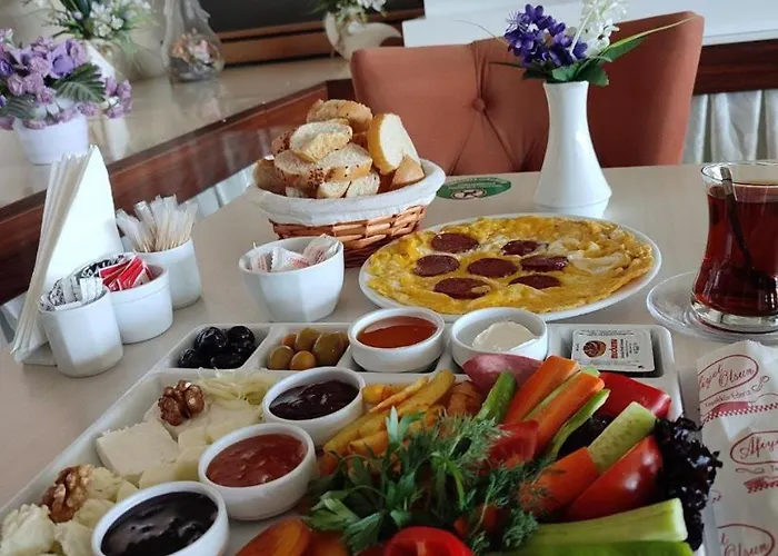 Sivas Hotel Nevv