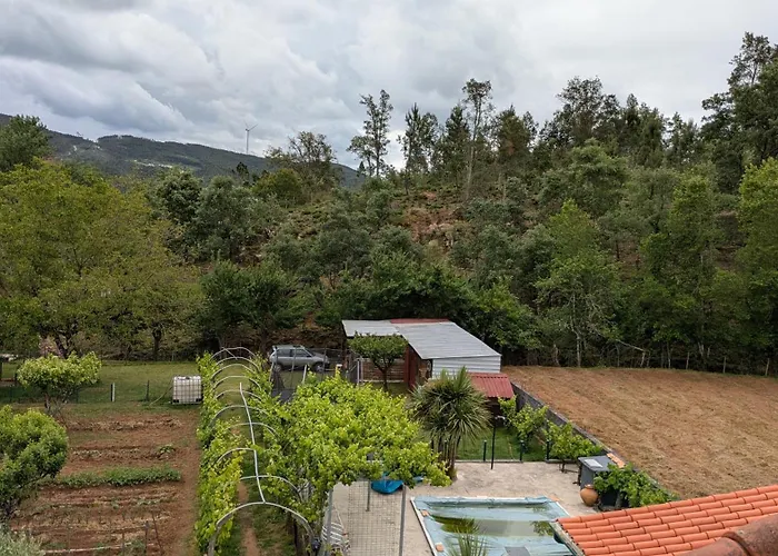 Alojamento Local - Casa Amarela