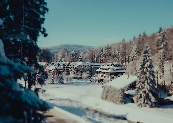 Hotel Savoy Spindleruv Mlyn