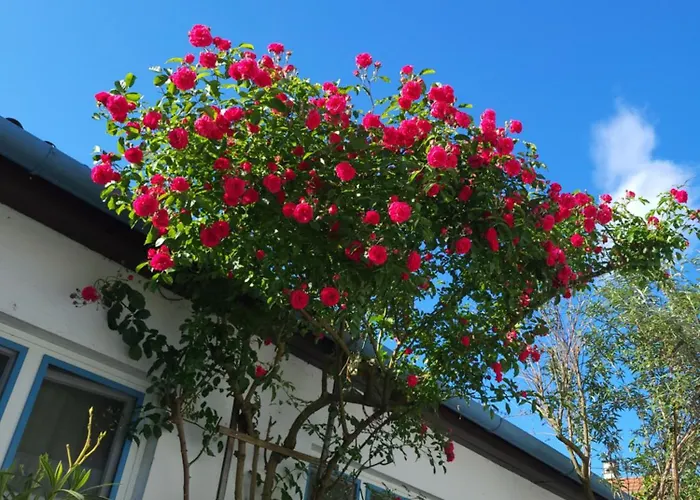 Stieglerhof Apartments Dr Eitner GnbR Bernd und Edeltrud