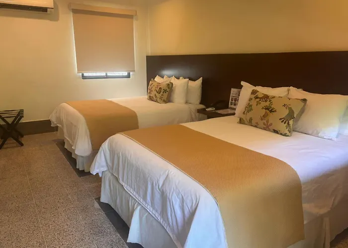 Hotel Gran David