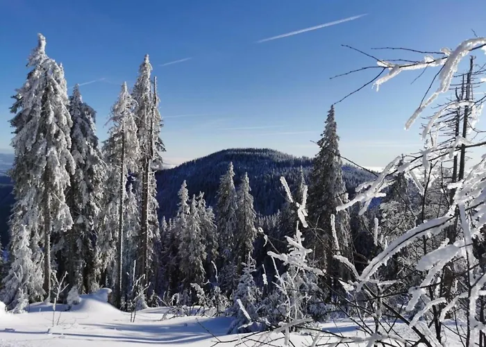 Ferienwohnungen Holzferienhäuser Leithenwald