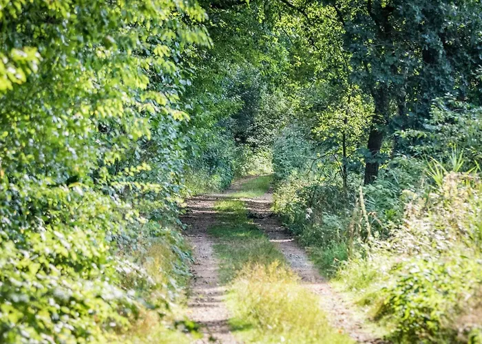 Ferienwohnungen Holzferienhäuser Leithenwald