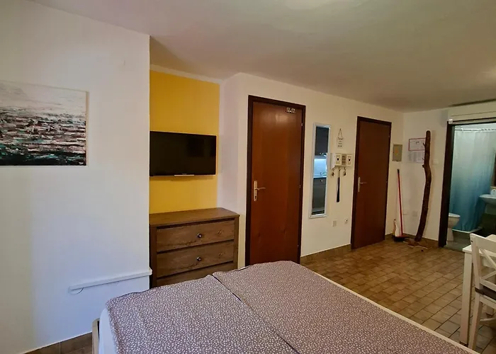 Terra Apartments