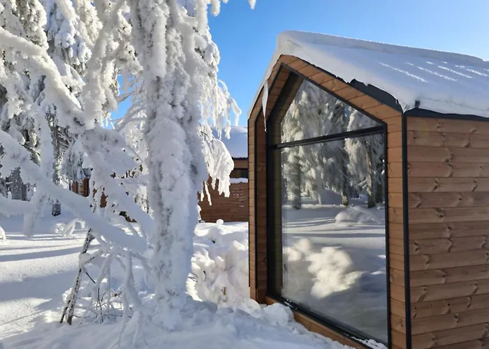 Arctic Nest Forest Cabin