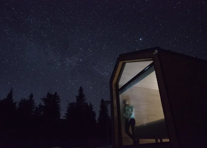 Arctic Nest Forest Cabin