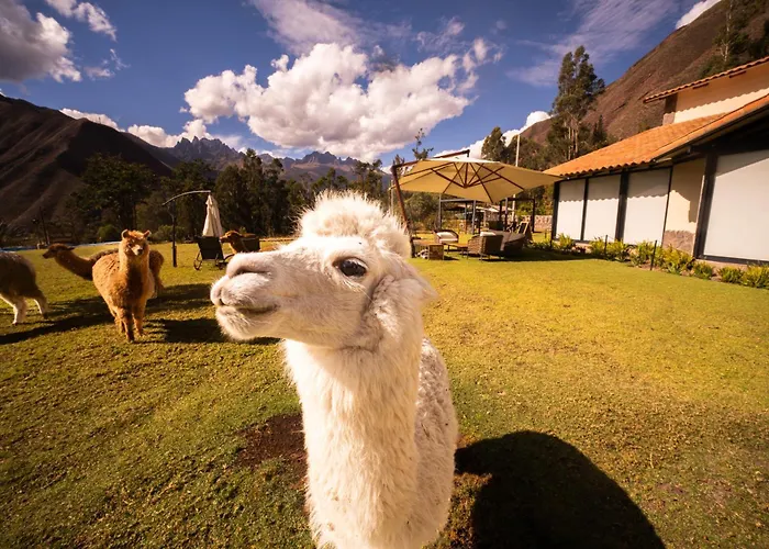 Sierra Sacred Valley