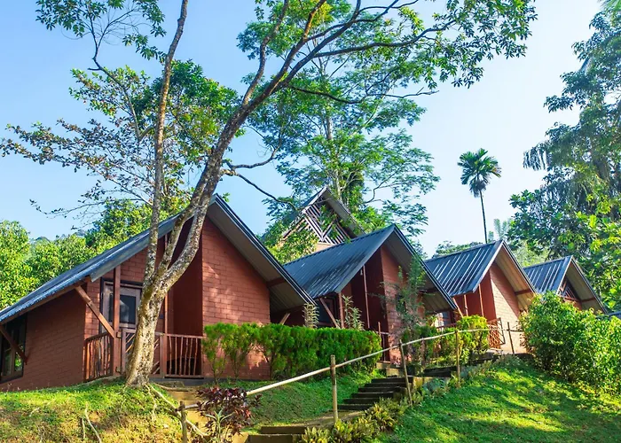 Cinnamon Village Sinharaja Deniyaya