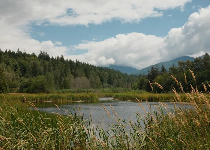 Executive Suites Hotel And Resort, Squamish