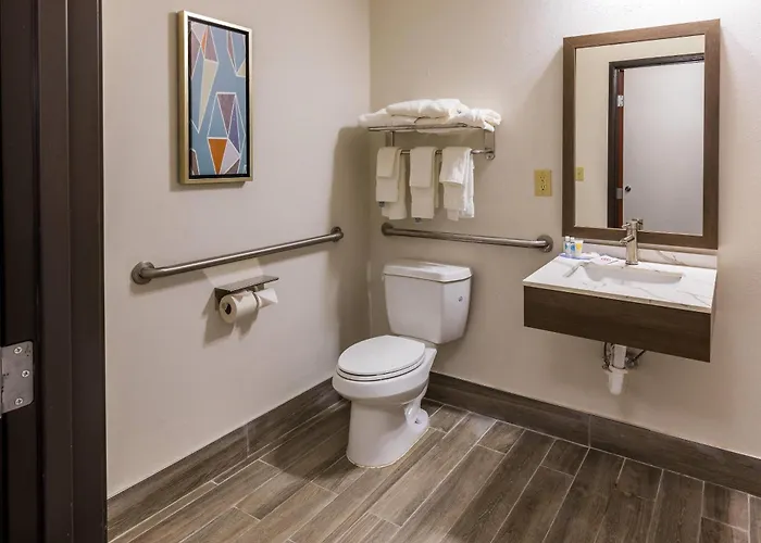 Comfort Inn & Suites New Iberia - Avery Island