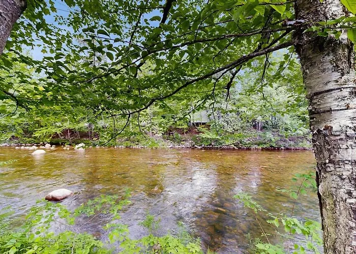 Eclectic Studio Cabin W/ Kitchenette, Free Wifi, Riverfront Location & More