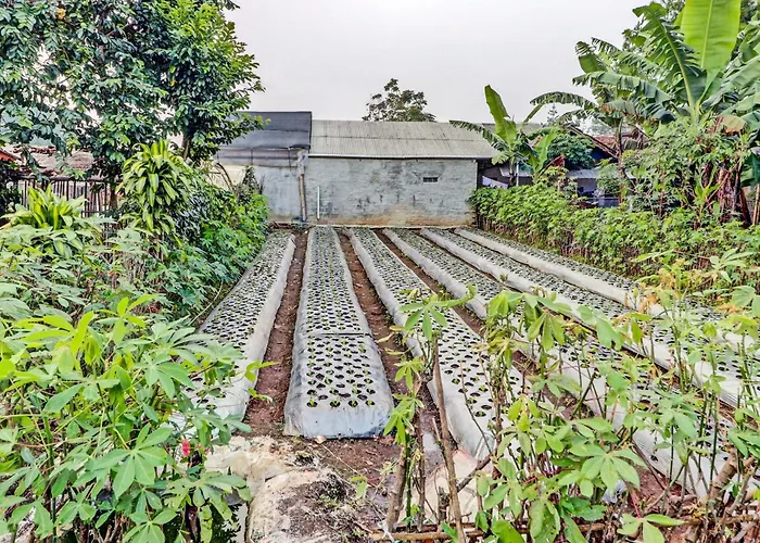 Oyo Homes 90850 Cibeunying Eco Tourism Homestay Cibodas Maribaya 2