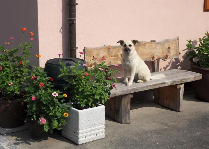 FeWo in der Weinleiten