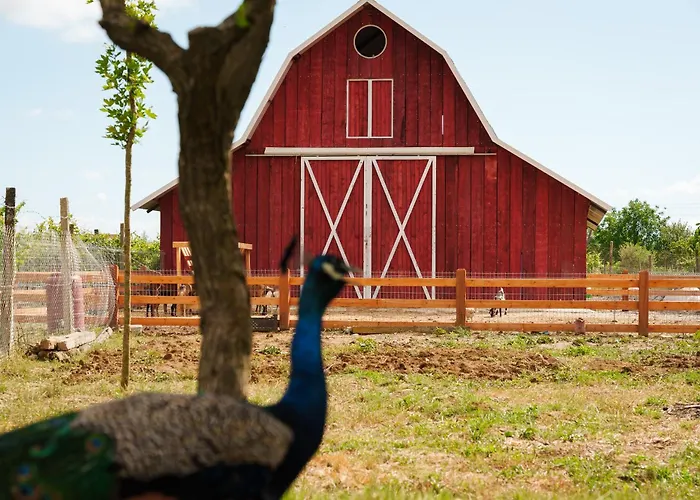 Lahuta e Vjeter Agroturizem