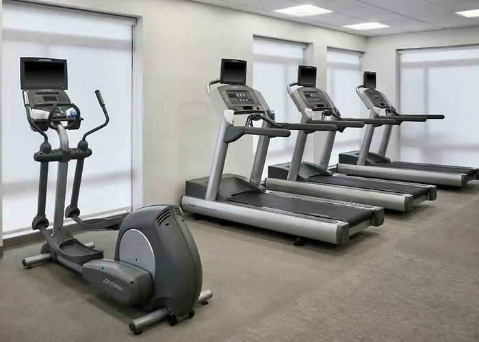 Springhill Suites By Marriott Detroit Metro Airport Romulus