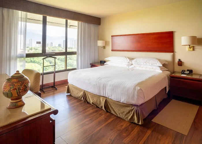 Barceló San José