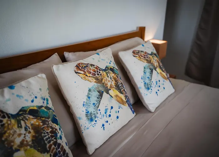 Lodge Las Estrellas De Samara - Ocean View