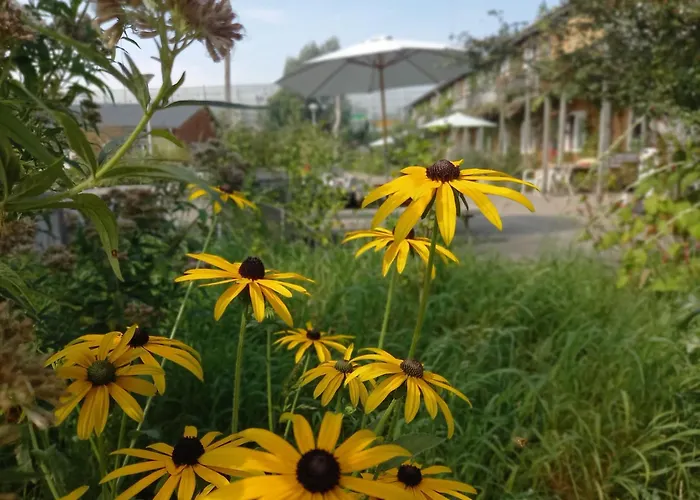 Amsterdam Farm Lodge