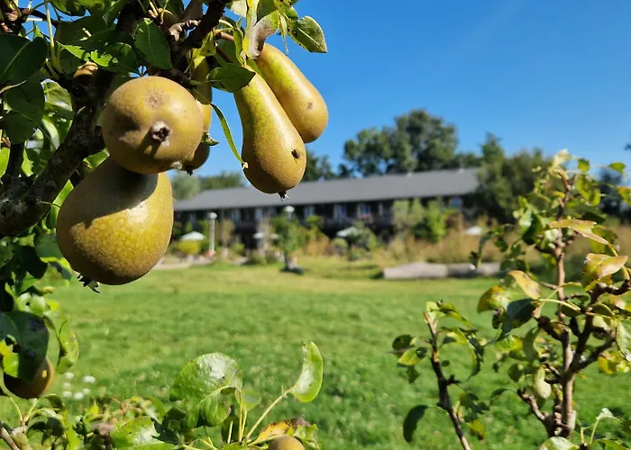 Amsterdam Farm Lodge